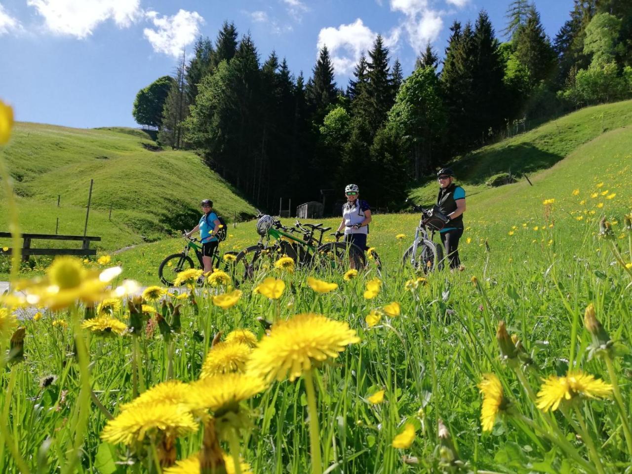 Pension Edelweiss Breitenbach am Inn Eksteriør billede